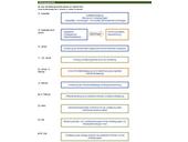 Schematische Darstellung des Ablaufs