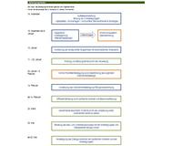 Schematische Darstellung des Ablaufs